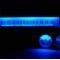Whitegauges 1961-1962 Chevrolet Impala White Face Gauges 6162CI-106