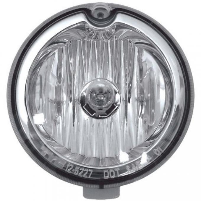 Thunderbird Fog & Driving Lamp Assembly, 2002-2005