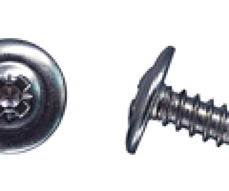 AMK 1978 Chevrolet Camaro 16 piece T-Top (Fisher) Weatherstrip Channels Metric Chrome Pozi Round Washer Ab Screws G-7839