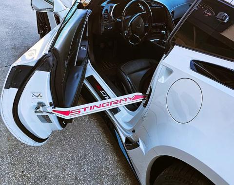 American Car Craft Corvette C7 Door Prop Polished/Brushed Stainless 'Stingray' with  Choice of Carbon Fiber Inlay - Driver Side Only 051043