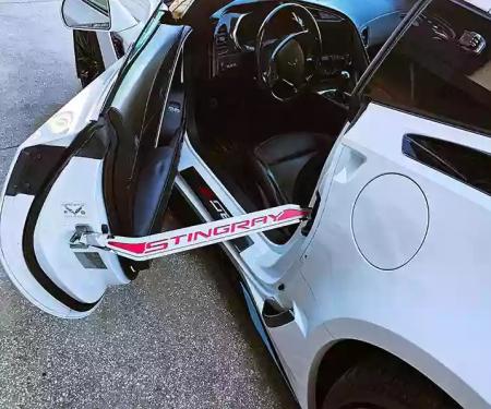 American Car Craft Corvette C7 Door Prop Polished/Brushed Stainless 'Stingray' with  Choice of Carbon Fiber Inlay - Passenger Side Only 051044