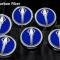 American Car Craft 2014-2019 Z06/Z51/C7 Corvette - STINGRAY Emblem Fluid Cap Covers Manual Transmission 6Pc, Choose Color 053016