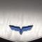 American Car Craft 2009-2013 Corvette ZR1 only - Custom Flame Etched Engine Shroud Cover 2Pc, Stainless Steel 043073