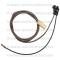 Lectric Limited 1966 Oldsmobile Glove Box Light Harness 37805