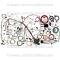 Lectric Limited 1971-1974 Dodge Classic Update Series Wiring Harness System 510691