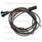 Lectric Limited 1967 Oldsmobile Glove Box Light Harness 37806