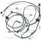 Lectric Limited 1970-1972 Chevrolet Rear Body Light Harness 14485