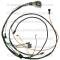 Lectric Limited 1967 Chevrolet Camaro Engine Harness 11305