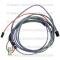 Lectric Limited 1969 Chevrolet Camaro Power Top Harness 14310