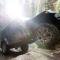 BFGoodrich BFG All-Terrain T/A KO2 Tire 275/65R18 123/120R 700908