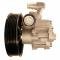 Lares New Power Steering Pump 13967