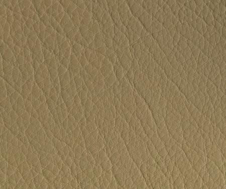 Procar Beige Vinyl Fabric 80-8000-54
