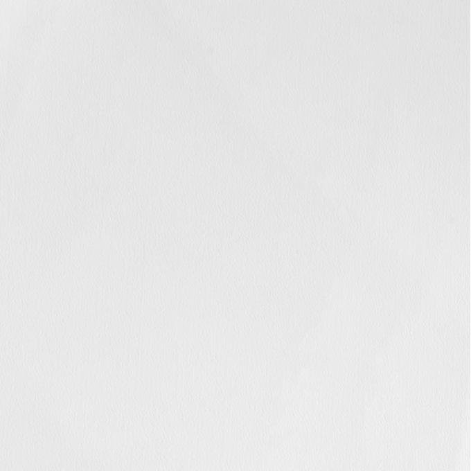 Procar White Vinyl Fabric 80-8000-53