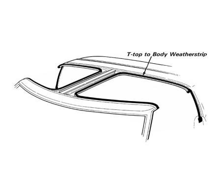 Daniel Carpenter 1981-83 T-top to Body w/s LH E3ZZ-6154781-R