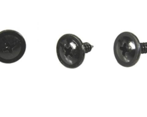 Classic Headquarters Correct Roofrail Weatherstrip Screws, Set (36) R-221