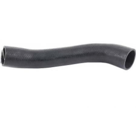 Ford Thunderbird Lower Radiator Hose, Replacement, Exact Reproduction, No Script, 1955-57
