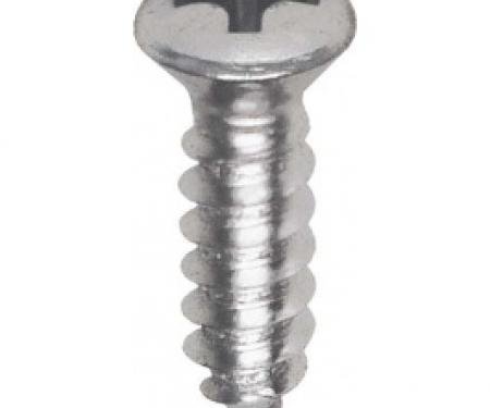 Ford Thunderbird Stainless Steel Door Panel Moulding Screw Set, 1964-66