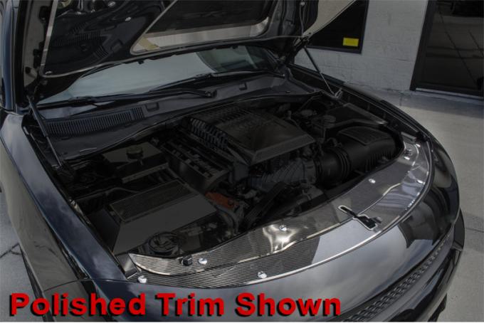 American Car Craft Front Header Plate Carbon Fiber w/Polished Trim 2pc 333031
