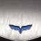 American Car Craft 2009-2013 Chevrolet Corvette Engine Shroud Cover ZR1 2pc Flame Etched 043073
