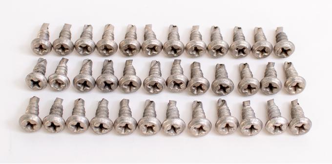 AMK Products Inc Wheel Opening Molding Screw Set (36pcs), 70-74 Dodge Plymouth A/B/E Body H-C-8021