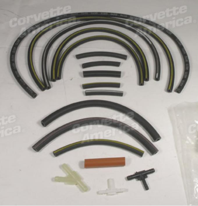 Corvette Emission Hose Kit, L48 with NA6, 1978