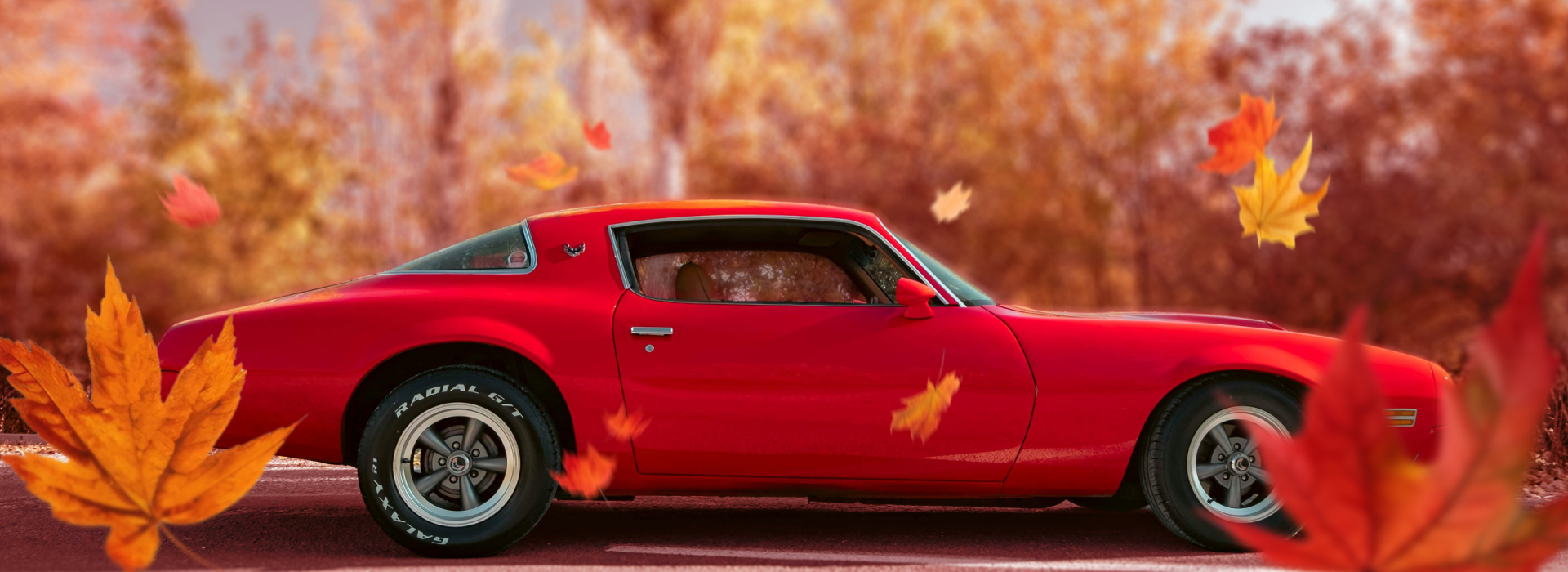Fall Is Here