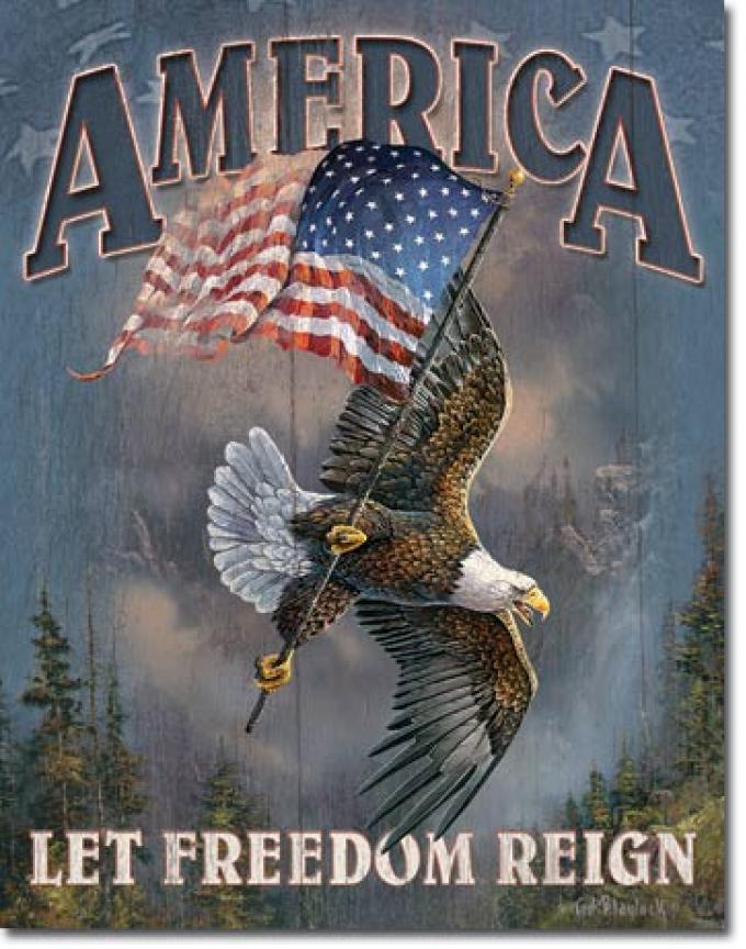 Tin Sign, America - Let Freedom Reign