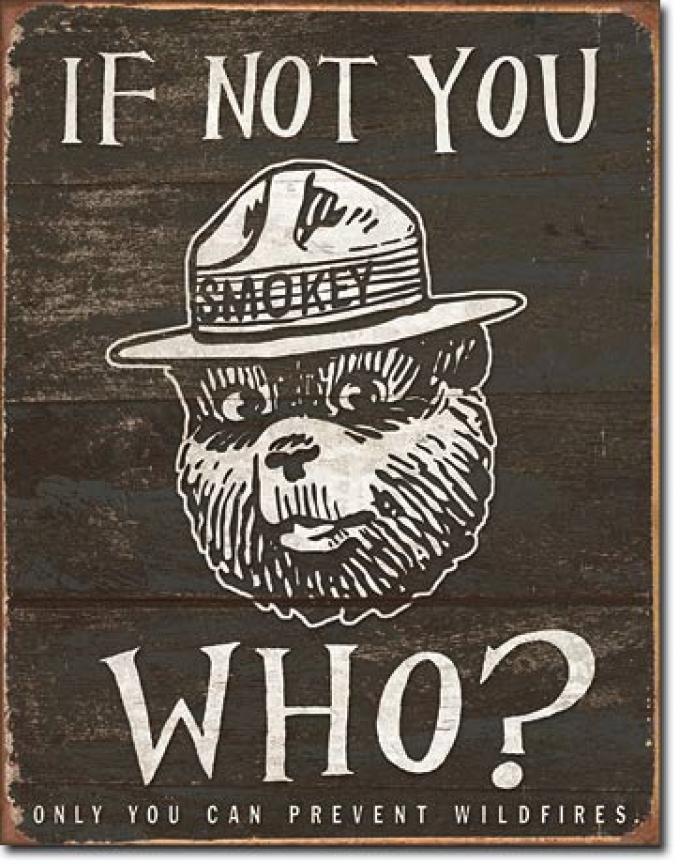 Tin Sign, Smokey Bear - If Not You