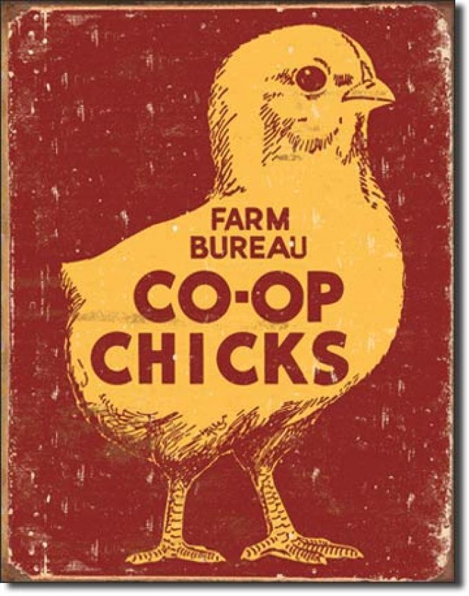 Tin Sign, Co-Op Chicks