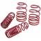 Camaro Coil Springs, V8, LT1 Sportline, Eibach, 1993-1997