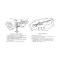 Ford Thunderbird Jack Instruction Decal, 1955-56