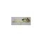 Chevy Door Window Regulator, 2-Door Hardtop Or Convertible, Left, 1955-1957