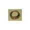 Chevy Tailgate Cable, Nomad, 1955-1957
