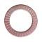 Ford Thunderbird Valve Spring Insert Shim, .060 Thickness, 428 V8, 1966