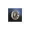 Camaro Disc Brake Rotor, For Single Piston Caliper, Front, 1969