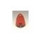Chevy Outer Taillight Lenses, Red, 1955