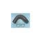 Chevy Radiator Hose, Lower, V8, 1955-1957