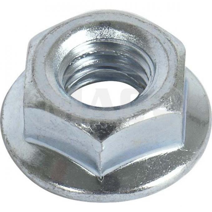 Bumper Bolt Nut