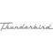 Ford Thunderbird Quarter Panel Nameplate, Thunderbird, 1955-56