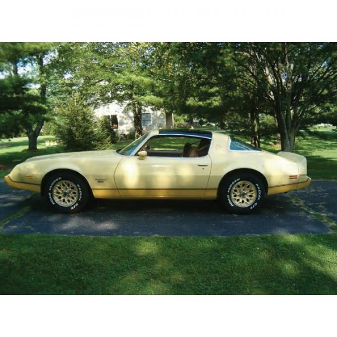 Firebird Decal Set, Yellow Bird, Gold, 1980-1981