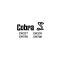 Exterior Decal - Cobra Snake - Blue