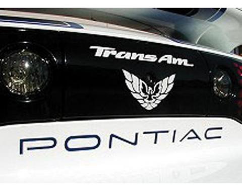 Firebird Trans AM Decal, Rear Bird & Name Emblem, 1999 OR 2002