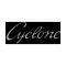 Cyclone Quarter Panel Decals - Silver With Black Border