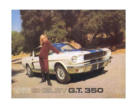 Ford Mustang Shelby Color Sales Brochure - 6 Pages - 8 Illustrations