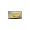 CA 1970-1976 Chevrolet Corvette Door Panel Standard RH