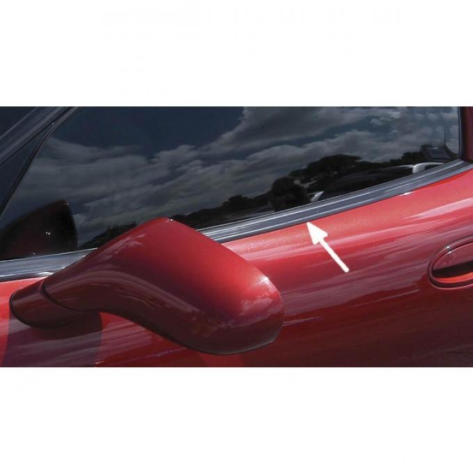 Corvette Outer Door Window Seal, Fixed Roof Coupe (FRC) & Z06, Left, 1999-2004