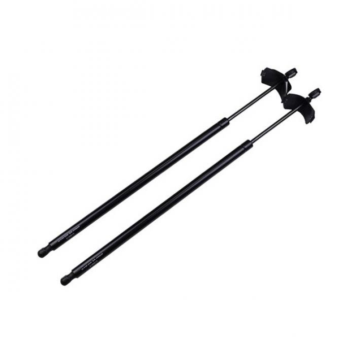 Firebird Carbon Fiber Rear Hatch Lift Support 1993-2002