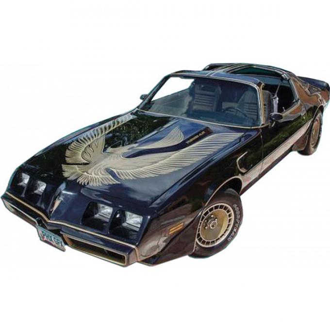 Firebird Decal Kit, Dark Gold Trans Am, Turbo, Black, Special Edition, 1981