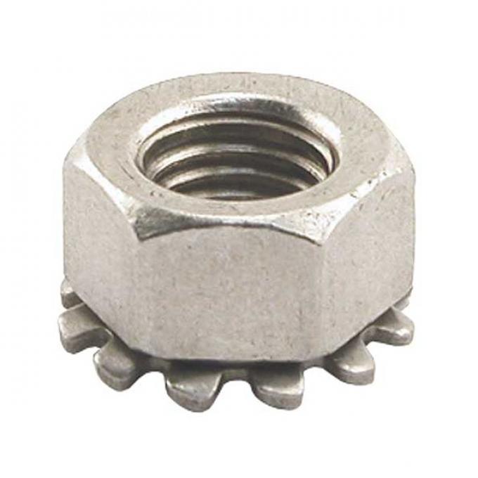 Hinge Screw Nut - 5/16-24 - Ford