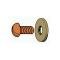 Model A Ford Distributor Condenser Screw Set - Copper Plated Screw